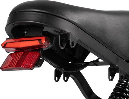 V20 Pro Fatbike - READY TO RIDE - Hydraulic Brakes - Alarm System + Rear Seat + Phone Holder + Footrests - 250W - 7 Gears