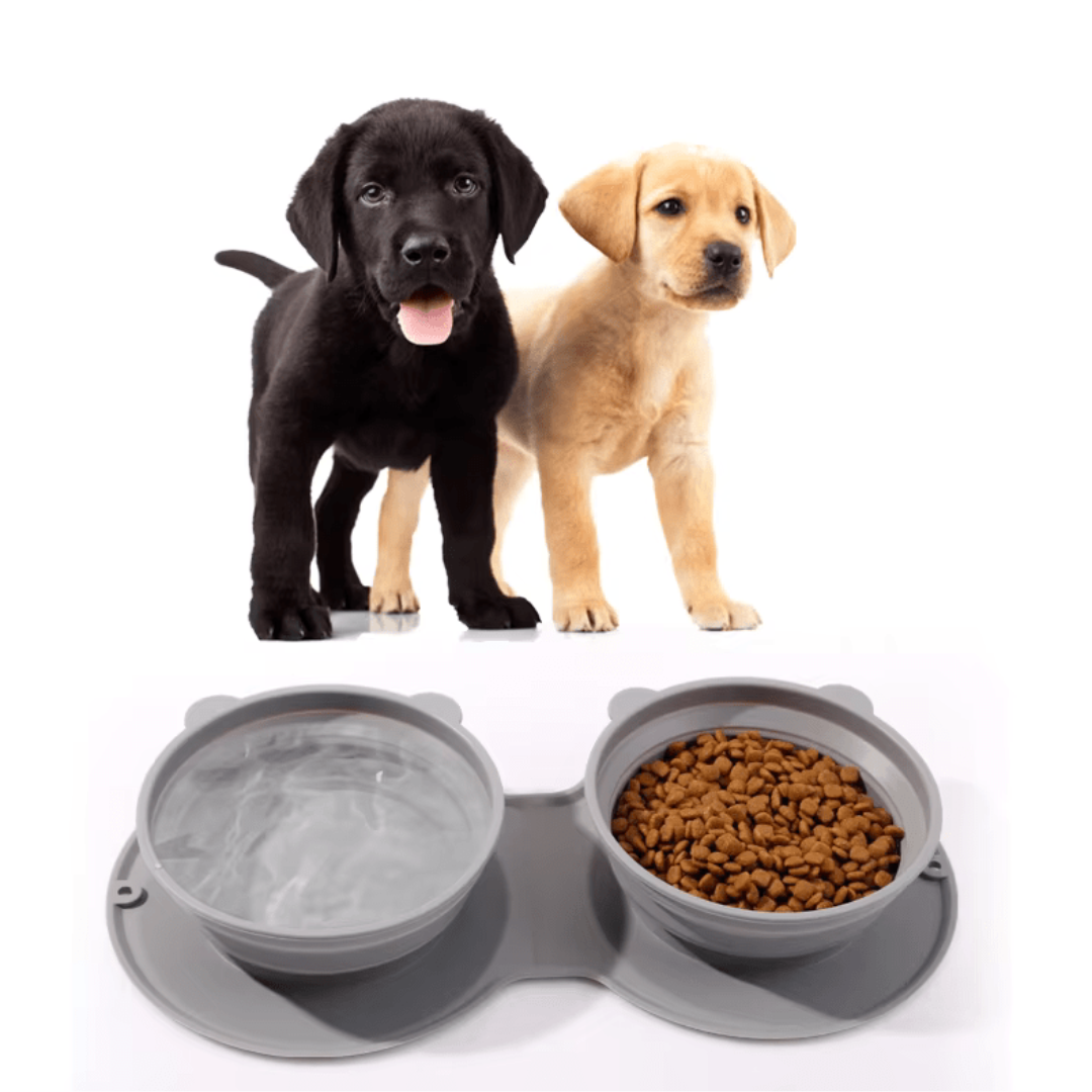 2in1 Reisvoerbak voor Onderweg