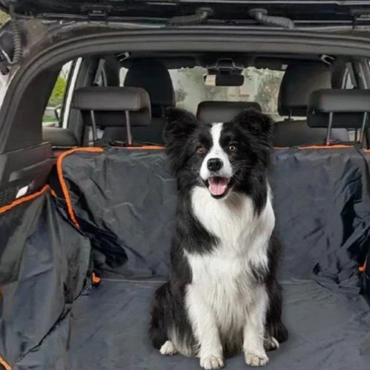 Waterdichte Kofferbeschermmat voor Honden – PootjesPlaats