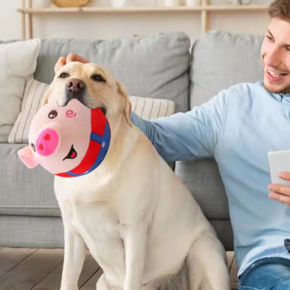 HundeRover: Onbeperkt plezier voor je hond