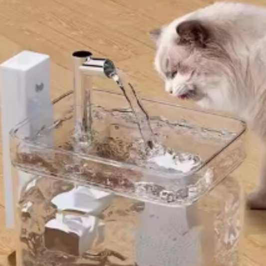 Drinkfontein voor Huisdieren - AquaRein Waterdispenser