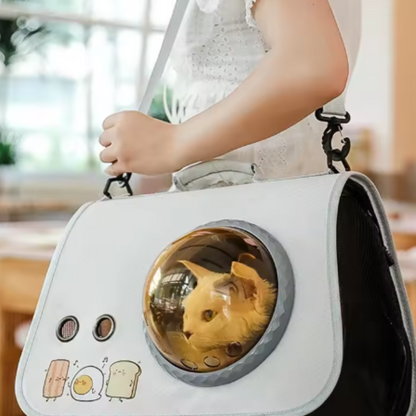 Vliegtuig en Auto Reisetas voor Huisdieren