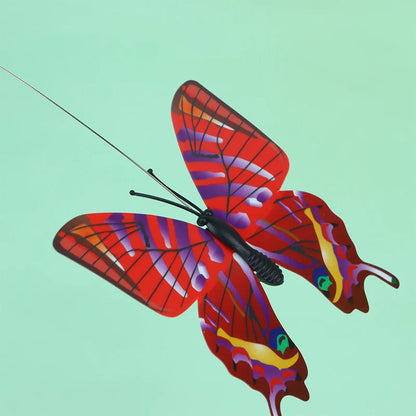 Vlinder Speelgoed voor Katten