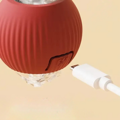 Interactieve speelbal met staart voor katten