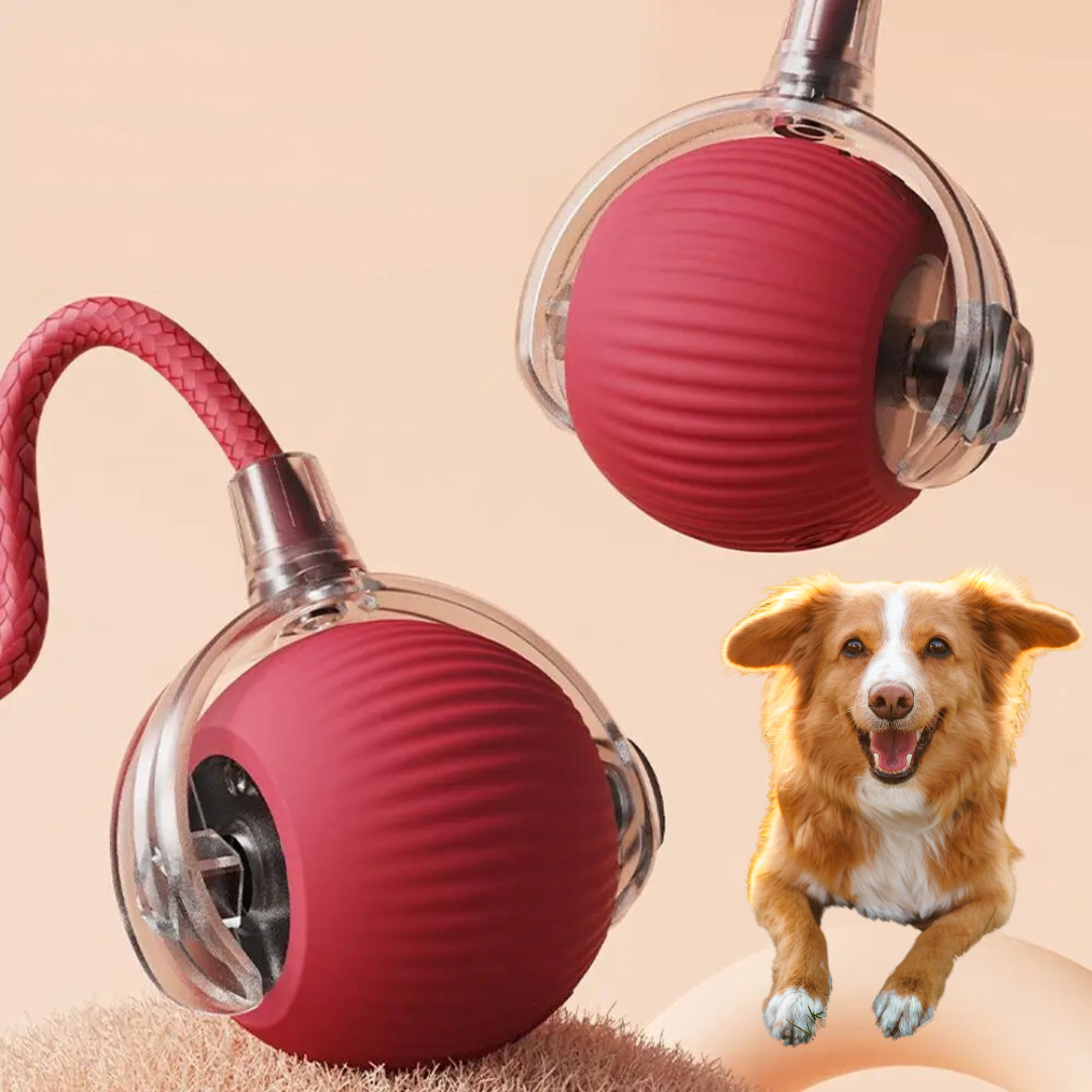 Interactieve Speelbal met Staart voor Honden