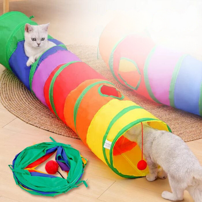 Regenboog Katten Tunnel